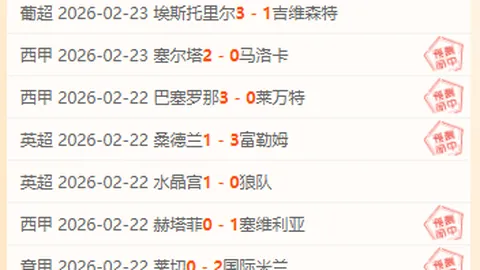 切尔西将决定是否以约万英镑买断桑乔合同